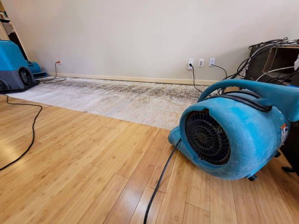 Professional Basement Flood Cleanup technician working in Coleman, TX